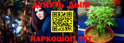 PSILOCYBIN Новозыбков
