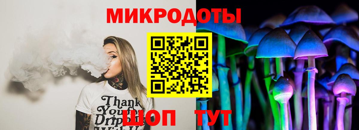 Псилоцибиновые грибы Psilocybe  Вход с VPN  Саров 